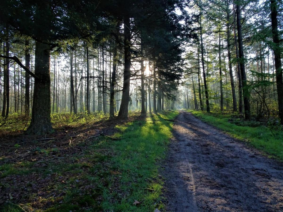 Veluwe Park Reewold Chalet Infinity Пюттен Экстерьер фото